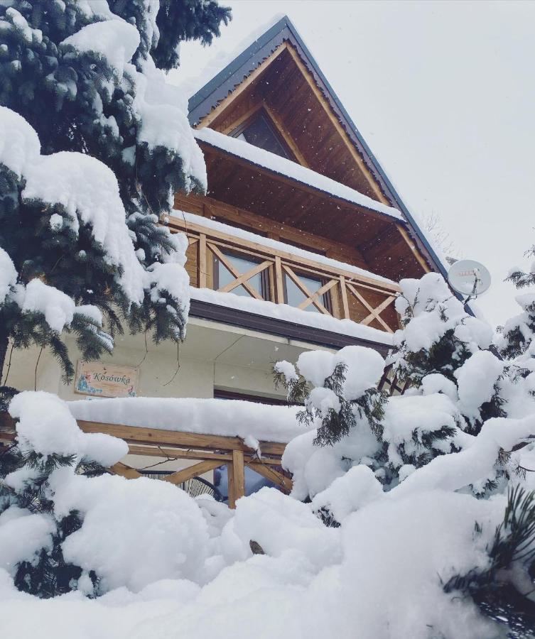 Dom Pracy Tworczej Kosowka Villa Kościelisko Dış mekan fotoğraf